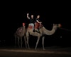 Evening Desert Safari,Evening Desert Safari Price, Dubai Desert Safari, Desert Safari