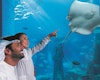 lost chambers aquarium, Atlantis the palm, waterpark in Dubai, Dubai Parks, Dubai Waterparks, top attraction, tour, travel destination, indoor park, theme park